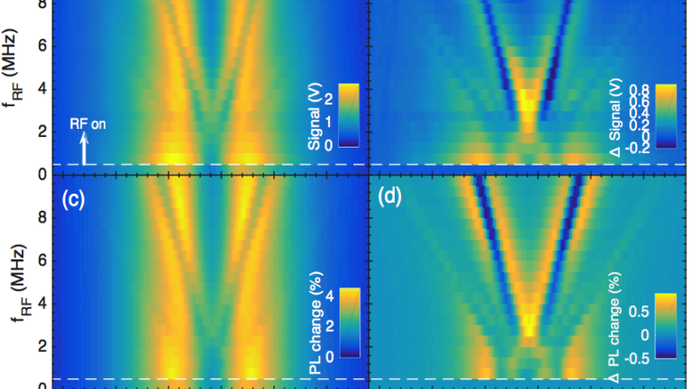 Electron spin dynamics dressed by Microwave and RF wave